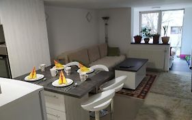 Apartment Merjam