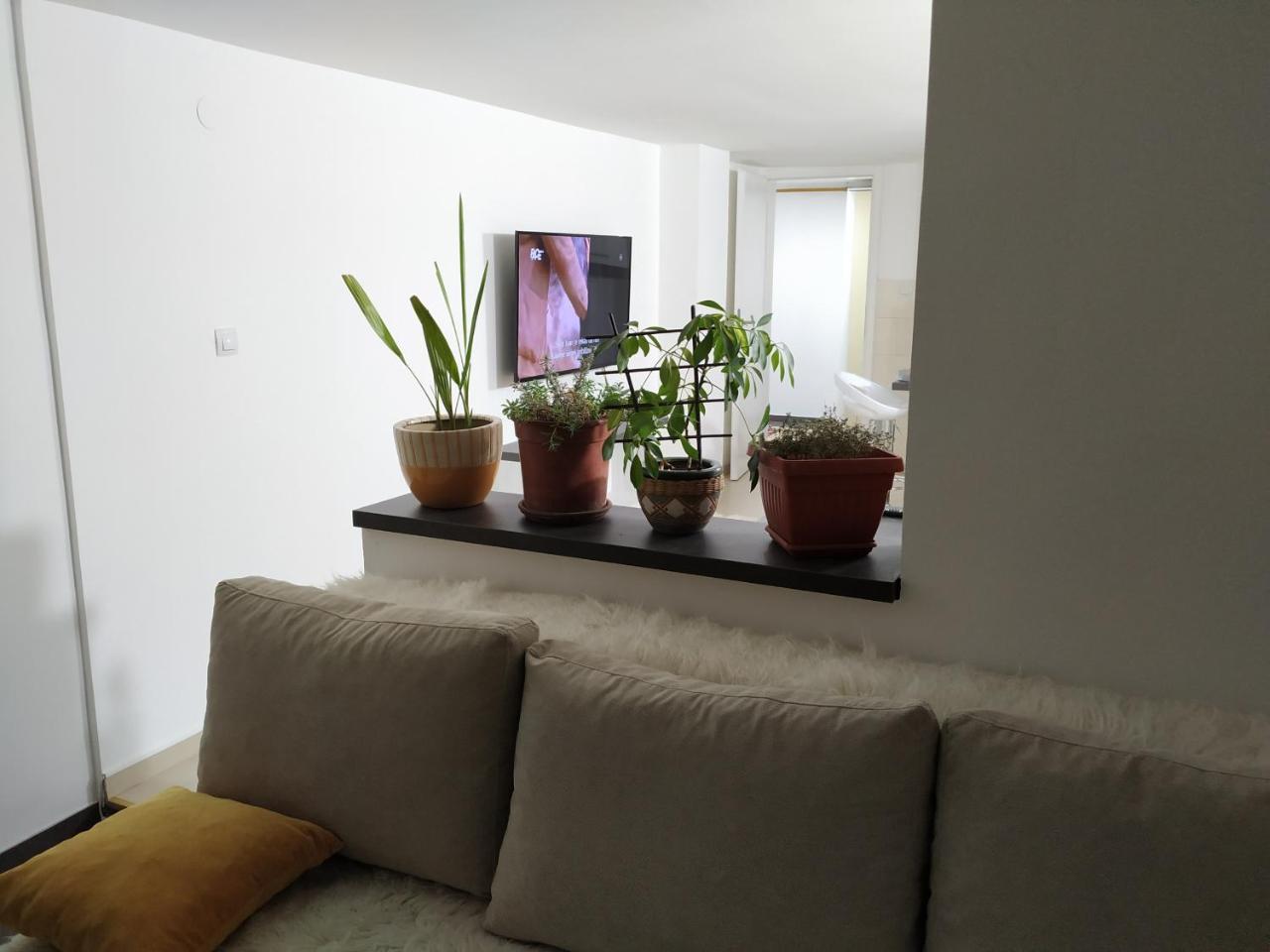 Apartment Merjam Saraybosna Dış mekan fotoğraf